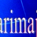 Logo arimaj